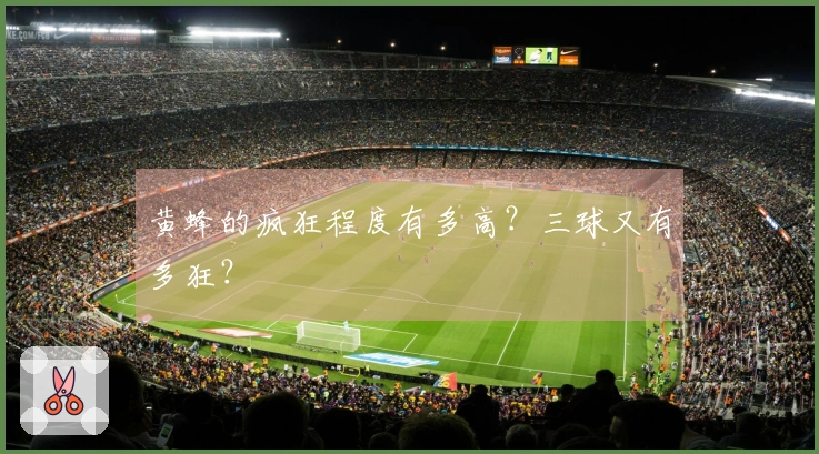 黄蜂的疯狂程度有多高？三球又有多狂？